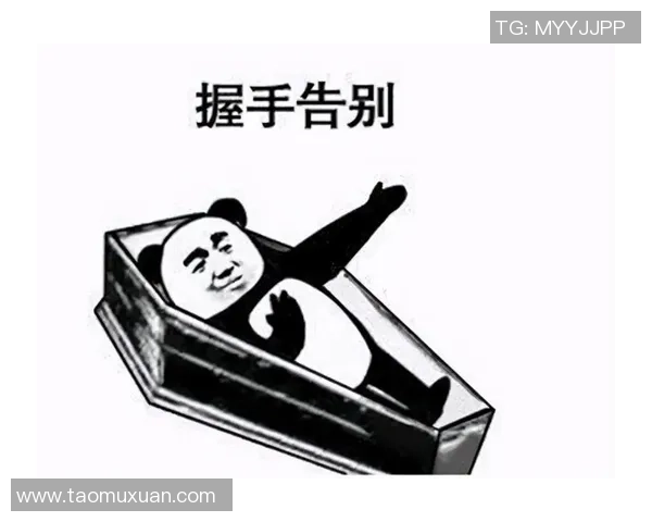 扣坤率队再创辉煌时刻展现足球巨星非凡风采